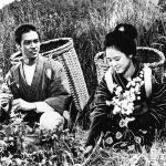2.野菊の墓